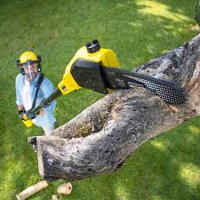 Why Choose Our Tree Removal Services in Athens, TN?